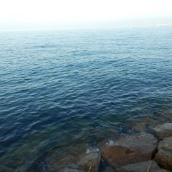 熱中症⁇超危険‼南大阪